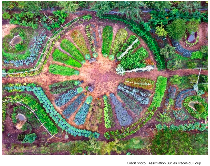 Atelier de mise en place des activités dans le jardin