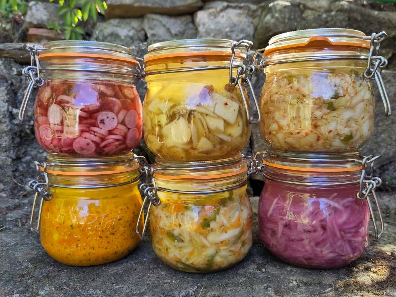 Délocalisé - atelier cuisine lactofermentation
